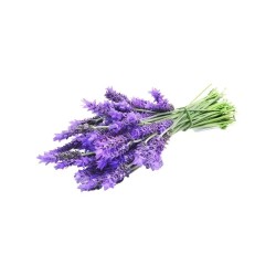 Υγρό γενικής χρήσης σε συσκευασία 4lt με ευχάριστο άρωμα λεβάντας Economy Open Care