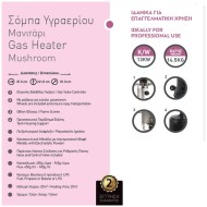 Θερμάστρα υγραερίου-μανιτάρι 13Kw με ελεγκτή βαλβίδας γκαζιού και οθόνη φλόγας επαγγελματικής χρήσης