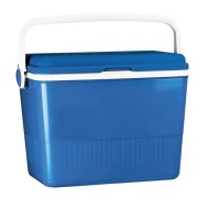 Ψυγείο συντηρητής διαστάσεων 46x25x40hcm 42lit ΙΣΠΑΝΙΑΣ