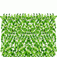 Φυλλωσιά κισσός GRASHER 1x2m με διπλό φύλλωμα και ξύλινη πέργκολα στην πίσω όψη σε ανοιχτό πράσινο Φυλλωσιά κισσός GRASHER 1x2m με διπλό φύλλωμα και ξύλινη πέργκολα στην πίσω όψη σε ανοιχτό πράσινο