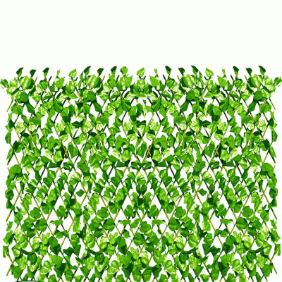 Φυλλωσιά κισσός GRASHER 1x2m με διπλό φύλλωμα και ξύλινη πέργκολα στην πίσω όψη σε ανοιχτό πράσινο