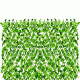 Φυλλωσιά κισσός GRASHER 1x2m με διπλό φύλλωμα και ξύλινη πέργκολα στην πίσω όψη σε ανοιχτό πράσινο