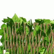 Φυλλωσιά κισσός GRASHER 1x2m με διπλό φύλλωμα και ξύλινη πέργκολα στην πίσω όψη σε ανοιχτό πράσινο Φυλλωσιά κισσός GRASHER 1x2m με διπλό φύλλωμα και ξύλινη πέργκολα στην πίσω όψη σε ανοιχτό πράσινο