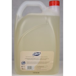 Σαπούνι χεριών αφρός (FOAM) 4lt, ENDLESS