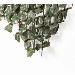 Πτυσσόμενη ξύλινη πέργκολα με φυλλωσιά σε πράσινο χρώμα 100Χ200 Newplan