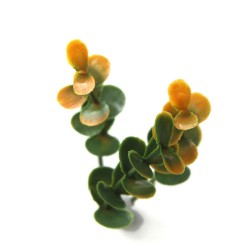 Πάνελ φυλλωσιάς διακοσμητική  BERLIN 50x50cm A012 BUXUS NewPlan