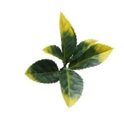 Πάνελ διακοσμητικό φυλλωσιάς BERLIN διαστάσεων 50x50cm A017 PHOTINIA NewPlan