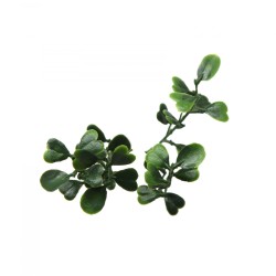 Συνθετικό διακοσμητικό πάνελ EUCALYPTUS BERLIN διαστάσεων 50x50cm A199  NewPlan