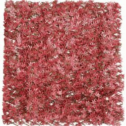 Σύνθετη φυλλωσιά σε πτυσσόμενη πέργκολα Premium 100 Χ 200 Mz186003B Newplan