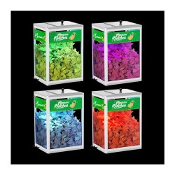 Θερμαινόμενη βιτρίνα Nachos με φωτισμό LED σε 16 χρωματισμούς και 6 διαφορετικά εφέ ρυθμιζόμενα από τηλεχειριστήριο