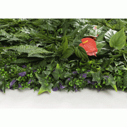 Κάθετος κήπος με πυκνή φυλλωσιά 100Χ100 Newplan