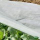 Αντιπαγωτικό ύφασμα για την προστασία φυτών από το κρύο σε λευκό χρώμα διαστάσεων 4x250m GRASHER