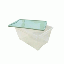 Κουτί αποθήκευσης χωρητικότητας 45lt διαστάσεων 59x40x26,5cm διάφανο με πράσινο καπάκι Κουτί αποθήκευσης χωρητικότητας 45lt διαστάσεων 59x40x26,5cm διάφανο με πράσινο καπάκι