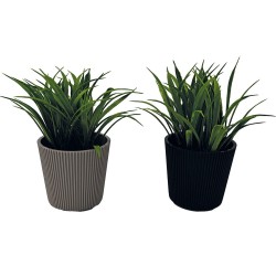 Γλαστράκι Νο 21 με φυτό για διακόσμηση του εσωτερικού και εξωτερικού χώρου διαστάσεων 8x10cm