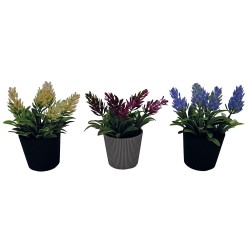 Γλαστράκι Νο 24 με φυτό για διακόσμηση του εσωτερικού και εξωτερικού χώρου