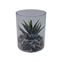 Γλαστράκι Νο 25 με φυτό για διακόσμηση του εσωτερικού και εξωτερικού χώρου διαστάσεων 18x24cm