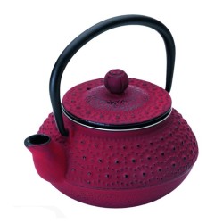 Τσαγιέρα από μαντέμι μοντέρνου σχεδιασμού με αποσπώμενο φίλτρο Hanoi 622603 300ml IBILI Τσαγιέρα από μαντέμι μοντέρνου σχεδιασμού με αποσπώμενο φίλτρο Hanoi 622603 300ml IBILI