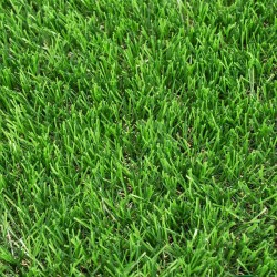 Χλοοτάπητας πλαστικός GRASHER 40mm διαστάσεων 2x20m 1730gr/m2