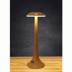 Επιτραπέζιο επαναφορτιζόμενο φωτιστικό LED αφής 2W με θερμό 3000Κ και 3 σκάλες φωτισμού IP44 