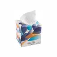 Χαρτί facial 2φυλλο σε τετράγωνο κουτί 60 πακέτα Χαρτί facial 2φυλλο σε τετράγωνο κουτί 60 πακέτα