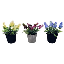 Γλαστράκι Νο 22 με φυτό για διακόσμηση του εσωτερικού και εξωτερικού χώρου διαστάσεων 6,5x13,5cm