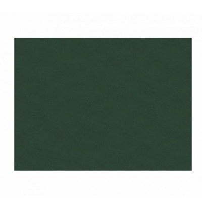 Σουπλά newteex nonwoven 30Χ40cm σε χρώμα πράσινο σε κιβώτιο των 500τμχ