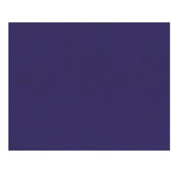 Τραπεζομάντηλα laminated ΒΕΤΑ διάστασης 1Χ1m χρώμα μπλε σε πακέτο 150τμχ