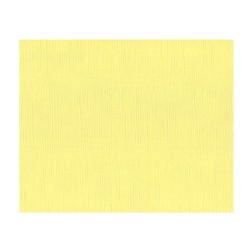 Τραπεζομάντηλα laminated BETA 1Χ1m κρεμ χρώματος πακέτο των 150 τμχ