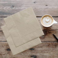 Χαρτοπετσέτες πολυτελείας δίφυλλες eco green οικολογικές 20Χ20cm κιβώτιο 5400τμχ