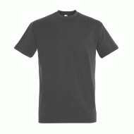 Κοντομάνικο unisex T-shirt Regent σε χρώμα σκούρο γκρι νούμερο medium 100% βαμβακερό Κοντομάνικο unisex T-shirt Regent σε χρώμα σκούρο γκρι νούμερο medium 100% βαμβακερό