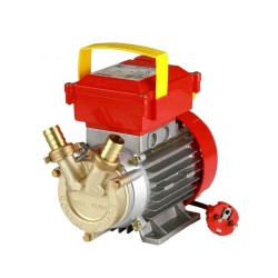 Αντλία μετάγγισης μπρούτζινη 220V ισχύος 1ΗΡ ROVER POMPE ΒΕ-Μ 35