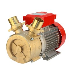 Αντλία μετάγγισης 220V κατασκευασμένη από μπρούτζο ισχύος 3ΗΡ ROVER POMPE ΒΕ-Μ 50 