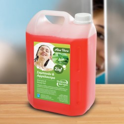 Σαμπουάν & Αφρόλουτρο 2 σε 1,HY-000075 ALOE VERA Hygiene Service , 4lt