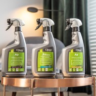 Αποσμητικό χώρου Clinex Air Plus Fresh Breeze 650ml