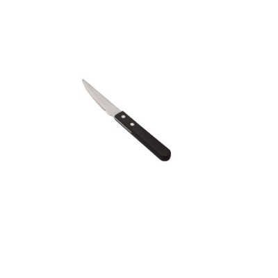 Μαχαίρι κρέατος κατασκευασμένο από ανοξείδωτο ατσάλι 18/0 της σειράς BRAZIL DINOX