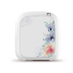 Συσκευή αρωματισμού - νεφελοποιητής κάλυψης 300m³ λειτουργία με διακόπτη Συσκευή αρωματισμού - νεφελοποιητής κάλυψης 300m³ λειτουργία με διακόπτη