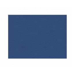 Σουπλά Newtex Nonwoven διαστάσεων 30x40cm μπλε χρώμα σε συσκευασία 500 τεμαχίων Σουπλά Newtex Nonwoven διαστάσεων 30x40cm μπλε χρώμα σε συσκευασία 500 τεμαχίων