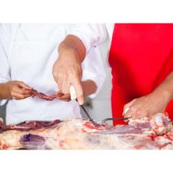 Μαχαίρι σφαγής επαγγελματικό με ανοξείδωτη λάμα 21εκ. αντιβακτηριδιακό Sanigrip DICK